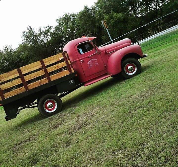What do you think about our Truck?
