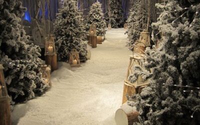 What do you think if we had Santa Clause make a guest appearence for photos and other fun stuff…