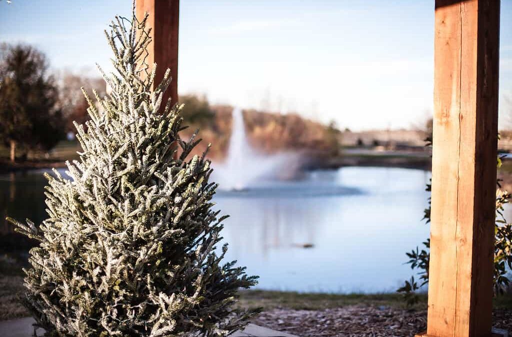 December Weddings at Bear Creek were amazing!!!